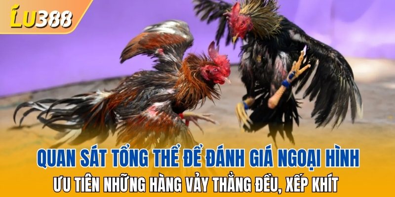Bạn cần tránh những cá thể có vảy mọc ngược