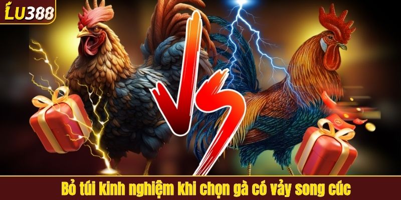 Bỏ túi kinh nghiệm khi chọn gà có vảy song cúc