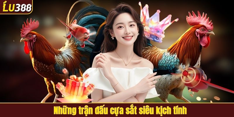 Các trận đấu cựa sắt kịch tính tại LU388