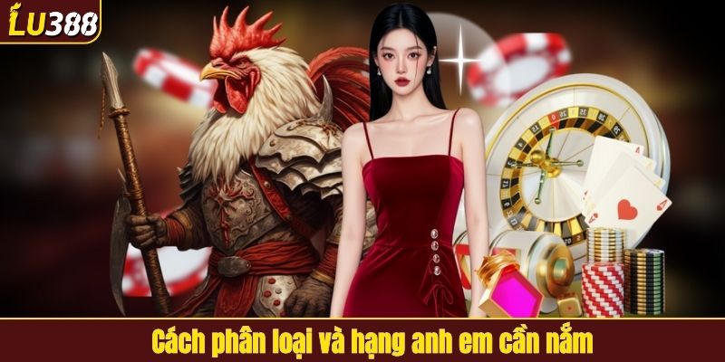 Cách phân loại và hạng anh em cần nắm