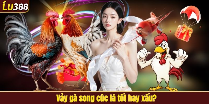 Có nên nuôi gà có loại vảy cặp cúc không?