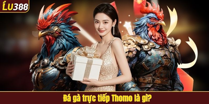 Giới thiệu về đá gà trực tiếp Thomo tại LU388