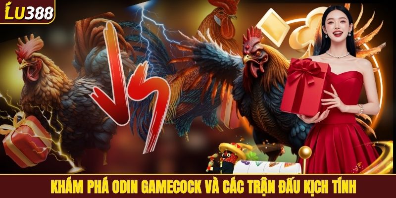 Khám phá Odin Gamecock và các trận đấu kịch tính
