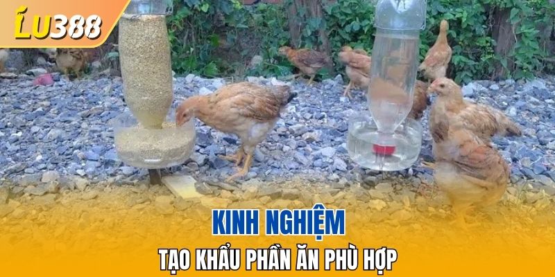 Kinh nghiệm trong chế độ dinh dưỡng
