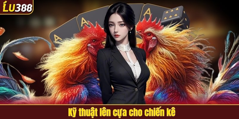 Kỹ thuật lên cựa cho chiến kê
