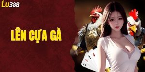 Lên Cựa Gà Chuẩn Nhất Và Kinh Nghiệm Cần Biết Khi Thi Đấu 