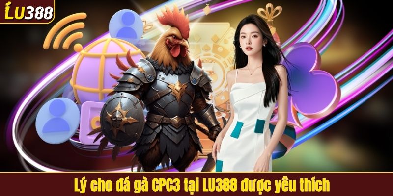 Lý cho đá gà CPC3 tại LU388 được yêu thích