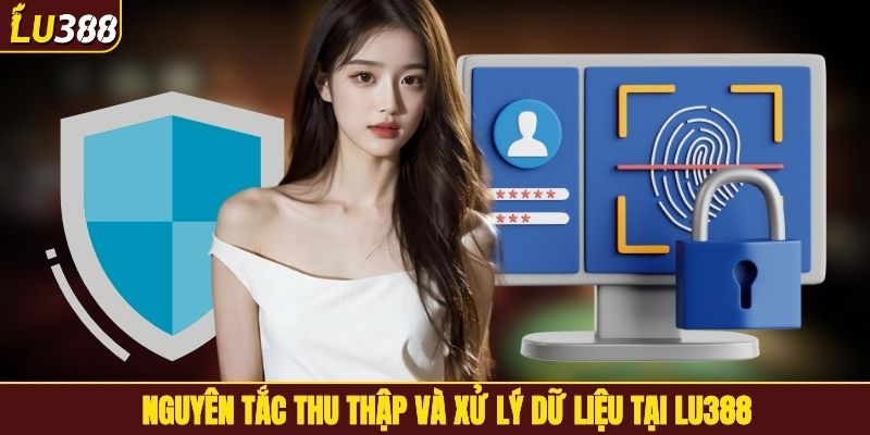 Nguyên tắc thu thập và xử lý dữ liệu tại LU388