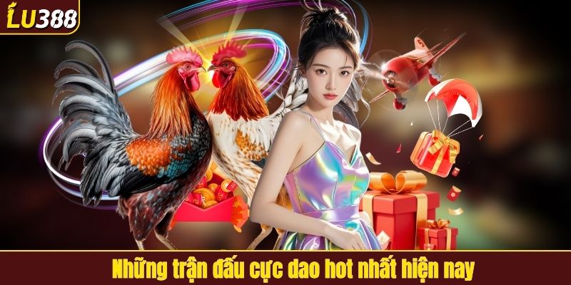 Những trận đấu cựa dao hot nhất hiện nay