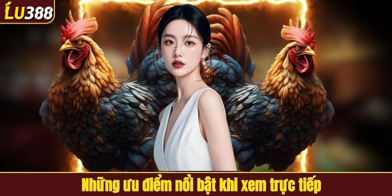 Những ưu điểm nổi bật khi xem live tại LU388