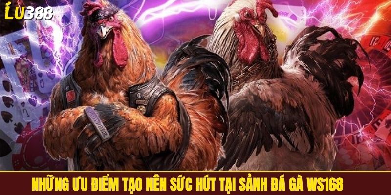 Những ưu điểm tạo nên sức hút tại sảnh đá gà WS168