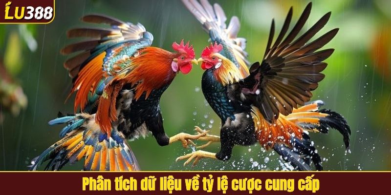 Phân tích thông tin liên quan đến tỷ lệ cược trước