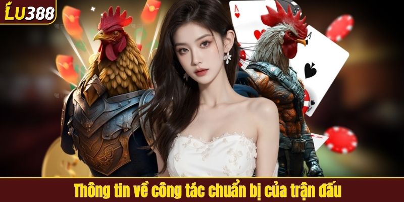 Thông tin về công tác chuẩn bị của trận đấu
