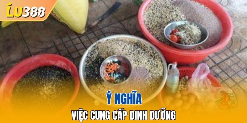 Vai trò khẩu phần dinh dưỡng