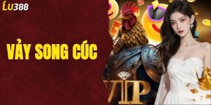 Vảy Song Cúc – Thông Tin Người Chơi Tại LU388 Cần Nắm Bắt