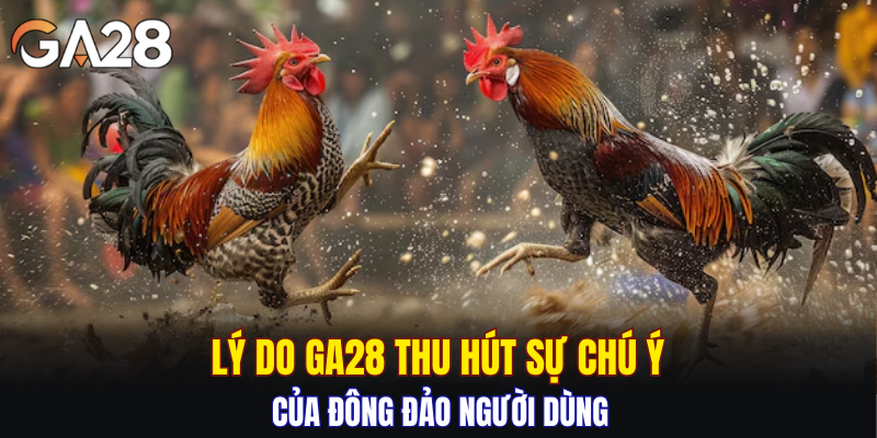 Lý do GA28 thu hút sự chú ý của đông đảo người dùng