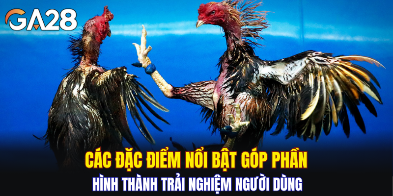 Các đặc điểm nổi bật góp phần hình thành trải nghiệm người dùng