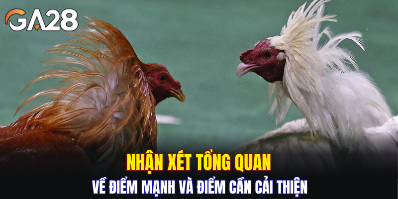 Nhận xét tổng quan về điểm mạnh và điểm cần cải thiện