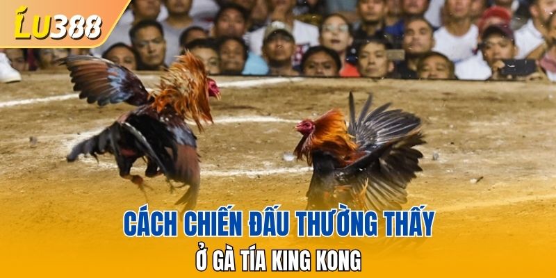 Cách chiến đấu thường thấy ở Gà Tía King Kong