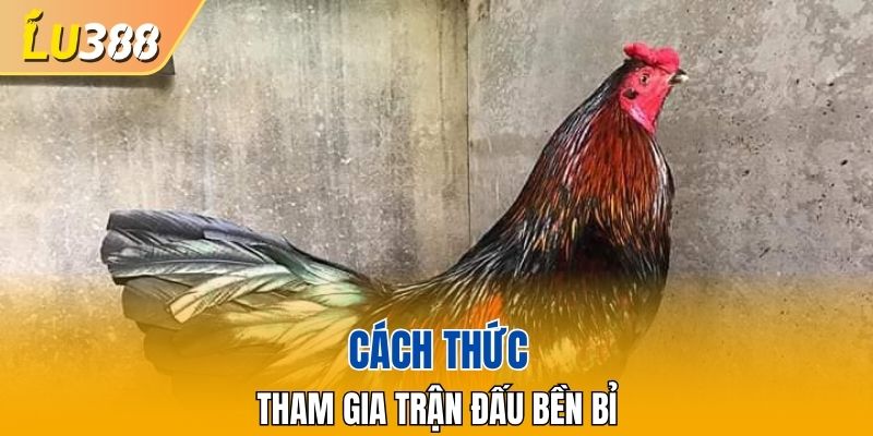 Giống mang tính cách bền bỉ