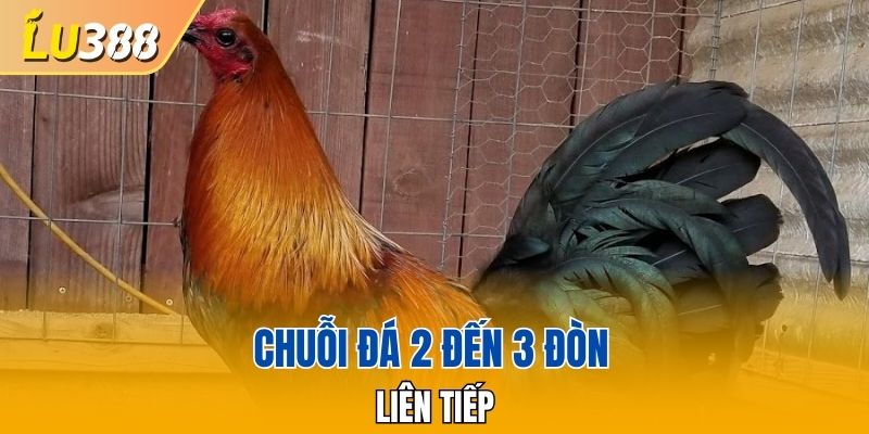 Chuỗi đá 2 đến 3 đòn liên tiếp