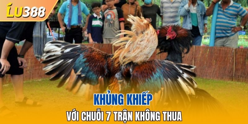 Khủng khiếp với chuỗi 7 trận không thua
